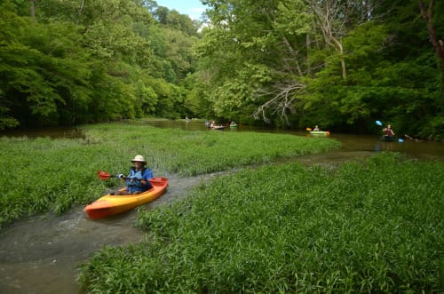Boaters’ Day at Georgia’s State Capitol is set for Thursday, February 12