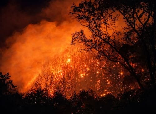 UPDATE: U.S. and Georgia Forestry crews continue battling White County wildfire